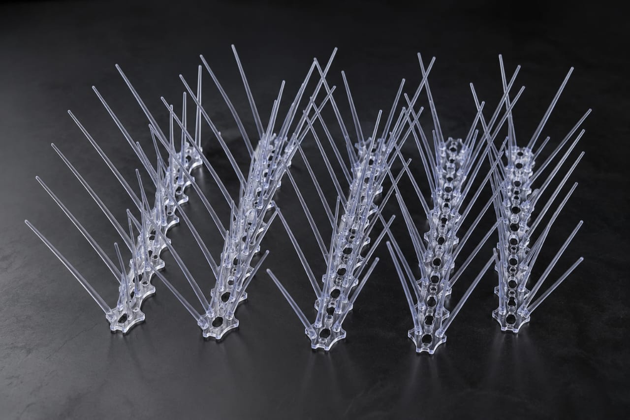 Bird Spikes